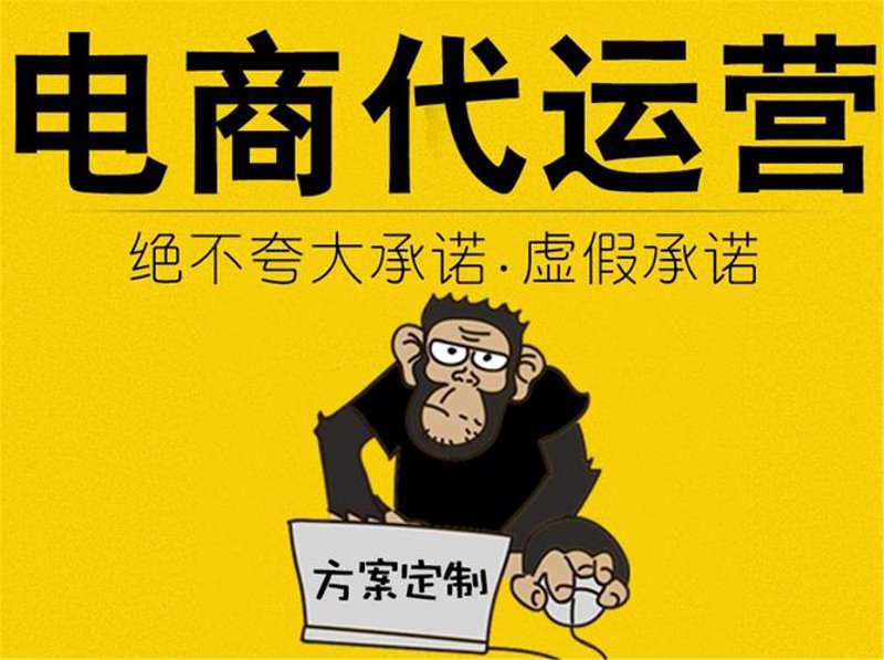 电商行业的前沿趋势：星桑模式的深度解析